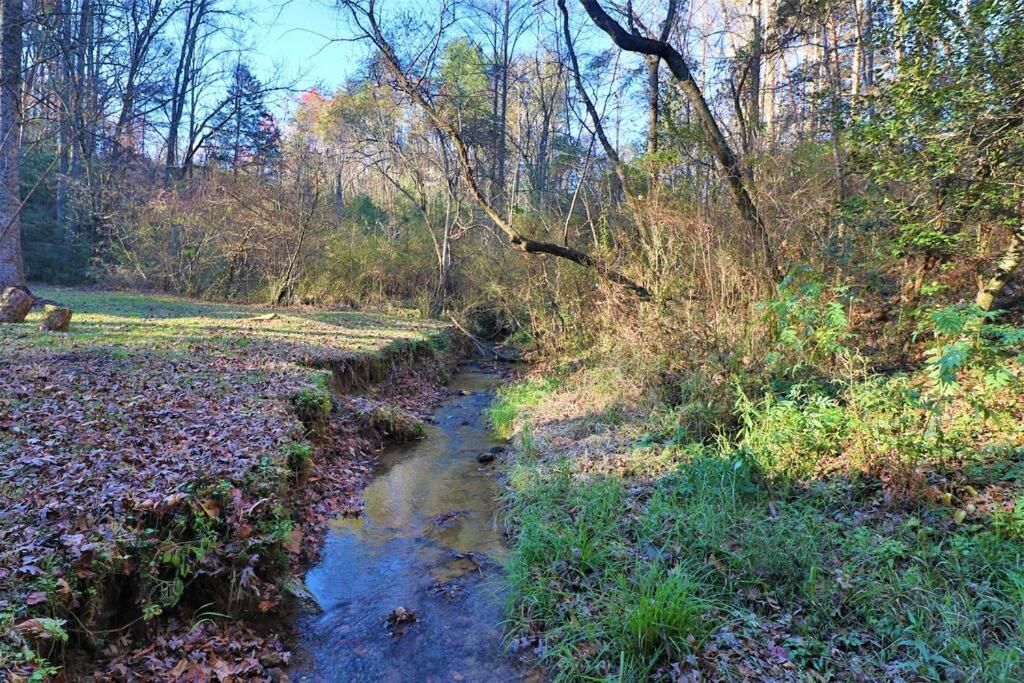 Amazing Cabin Fireplace And Stream #11 Хелен Экстерьер фото